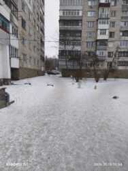 ������ ������������ ��������� ���� 7