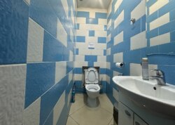 ������� ���������� ��������� �� ����. ����� ����������, ����� 280 ��.� ���� 12