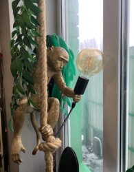 ������� ���������� ��������� �� ������ ���'������ ���� 5