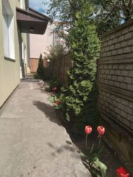 Здам в оренду офісні приміщення, без відключень електроенергії на Вишеньці фото 8 Здам в оренду офісні приміщення, без відключень електроенергії на Вишеньці фото 8