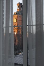 ������������� ������ ��������� �� ����, ����������� ������ ���� 11