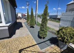 Здається комерційне приміщення фото 23 Здається комерційне приміщення фото 23