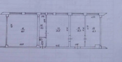 ������ ����� ���� 7