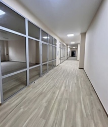 ������ ������������ ��������� 650 �2 ���. ����� ���ʼ������ ���� 1