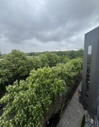 Оренда офісного приміщення на вул. 600-річчя 1, приміщень - 1, поверх - 5 фото 8 Оренда офісного приміщення на вул. 600-річчя 1, приміщень - 1, поверх - 5 фото 8