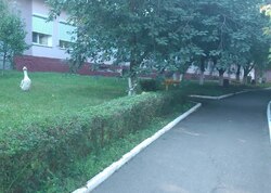 Оренда офісного приміщення на вул. Академіка Янгеля, приміщень - 40, поверх - фото 14 Оренда офісного приміщення на вул. Академіка Янгеля, приміщень - 40, поверх - фото 14