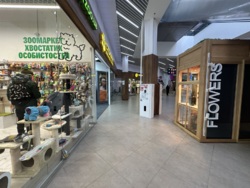      s)mall  3