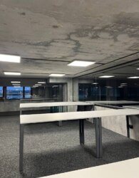 ������ �������� ��������� ���� 13