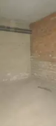     '  6