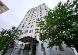 ������������� ������ �������� ��������� ���� 41