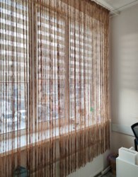 ������ �������� ��������� �� ���. ����������, �������� - 1, ������ - 2 ���� 2