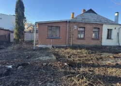 ������ ���� ������������ ����������� �� ���. ��������, ����� 15 ����� ���� 11