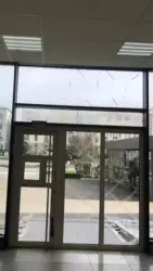 ������� ��'��� ���������, �����, ��������, �������� �����, �������� ������� ��., 37, �. �������� ������� ��������� ���� 4