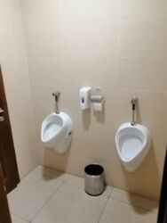 ���� ��������� � ������-������ ������� ������ Space Hall. ���� 11