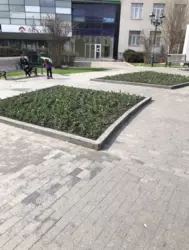 ������� ��'��� ���������, �����, ��������, �������� �����, �������� ������� ��., 37, �. �������� ������� ��������� ���� 5