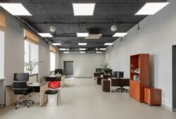 ���� ������� ��������� 290 ��.�. �����, ����� �������. ���� 1