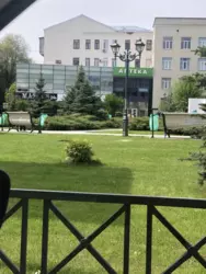 ������� ��'��� ���������, �����, ��������, �������� �����, �������� ������� ��., 37, �. �������� ������� ��������� ���� 11