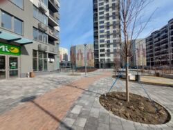 ������� ��'��� ���, ���������� ���� 1