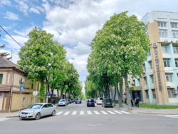 Здається приміщення 67,3 м2 на першому поверху по вул.Г.Кондратьєва (Кірова) 20 фото 17 Здається приміщення 67,3 м2 на першому поверху по вул.Г.Кондратьєва (Кірова) 20 фото 17