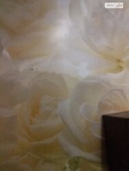 Здається об'єкт Вінниця, Вінницька, Урожай фото 4 Здається об'єкт Вінниця, Вінницька, Урожай фото 4