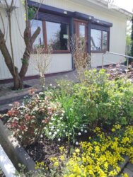 Здається об'єкт Вінницька, Вінниця, Старе місто, Чумацька (Блюхера) фото 3 Здається об'єкт Вінницька, Вінниця, Старе місто, Чумацька (Блюхера) фото 3