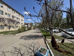 Здається об'єкт Вінницька, Вінниця, Левка Лук'яненка, 23 фото 3 Здається об'єкт Вінницька, Вінниця, Левка Лук'яненка, 23 фото 3