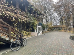 Здається об'єкт Вінницька, Вінниця, Обїздна фото 31 Здається об'єкт Вінницька, Вінниця, Обїздна фото 31