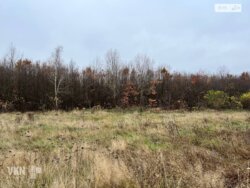 ������� ��'��� ����������, ³�����, ³������� ���� 5