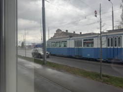 ������� ��'��� ��������, 16, ³�����, ³������� ���� 12