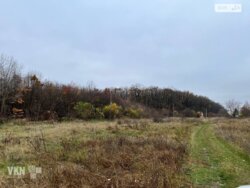 ������� ��'��� ����������, ³�����, ³������� ���� 4