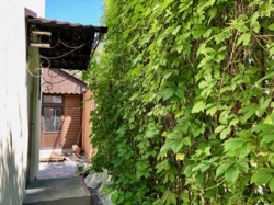 Перший поверх нежитлової будівлі з літньою площадкою фото 11 Перший поверх нежитлової будівлі з літньою площадкою фото 11