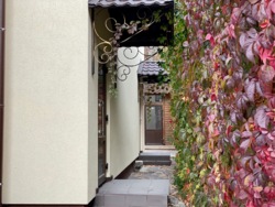 Замостянська, 16 Великий трьохповерховий будинок фото 29 Замостянська, 16 Великий трьохповерховий будинок фото 29