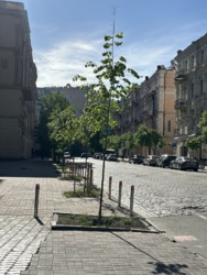 Оренда комерційного приміщення фото 3 Оренда комерційного приміщення фото 3