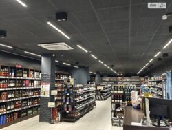 приміщення м.Каманське на бул. Будівельників 30, площа 3000 кв.м/250 кв.м 1 поверх фото 6 приміщення м.Каманське на бул. Будівельників 30, площа 3000 кв.м/250 кв.м 1 поверх фото 6