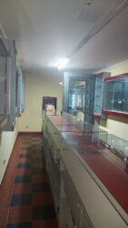 ������ �������� ��������. ���� 6