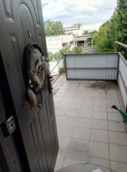 Оренда приміщення з окремим входом фото 12 Оренда приміщення з окремим входом фото 12