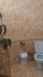 ������ ������������ ���� 2