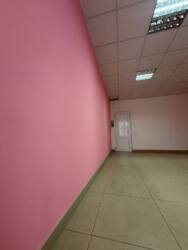 ������ ����� ���� 8