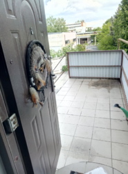 Оренда приміщення з окремим входом фото 13 Оренда приміщення з окремим входом фото 13