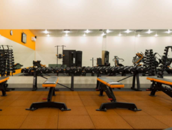 ������ 389,8 �2/ ��. �������� 52 �/ ������� ����/ �. ������ 800 � ���� 3