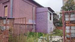 ������ ���������/�����/�. '�����������' ���� 2