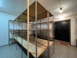 ������� ��'��� ���� ��������� ��., 21, ���, �����������, �. ����� ������ ���� 13