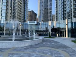  ' , ,   ., 17, .   6