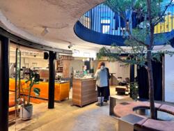 ������� ��'��� ���������� ��., 15�, ���, �������������, �. ����� ������ ���� 6