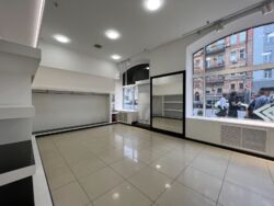 ������� ��'��� ���� ��������� ��., 21, ���, �����������, �. ����� ������ ���� 5