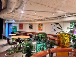 ������� ��'��� ���������� ��., 15�, ���, �������������, �. ����� ������ ���� 12