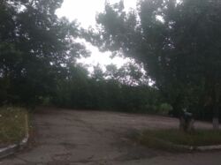 ������� ��'��� ����������, ������������� , ʳ������������, ���������� ���� 7