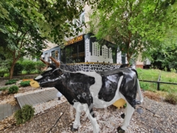 ������! ������� � ��������, ���. ����������� 6�, S=77�2 ���� 11