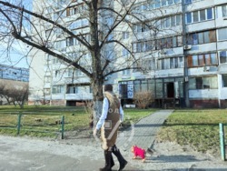 ������! ������� ���������, �. ����� ������ 7 �� ���� 3