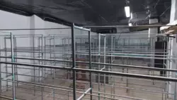 ������� ������ ����, ������� ���� 3